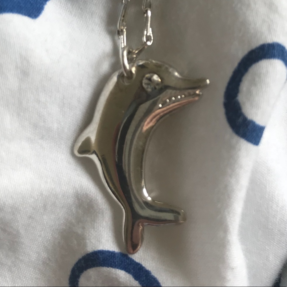 Dolphin pendant on chain